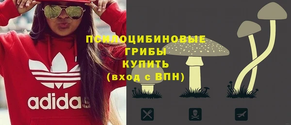 крисы Абаза