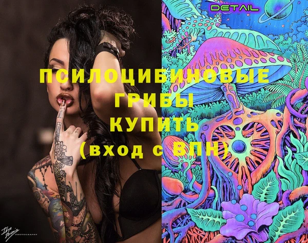 хмурый Алексин