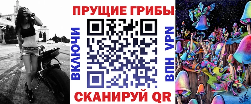 mega   Кимовск  Псилоцибиновые грибы мухоморы 