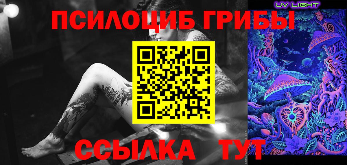 Галлюциногенные грибы Psilocybine cubensis Кимовск