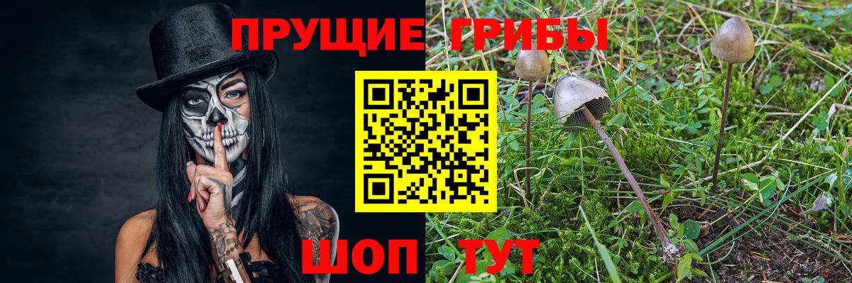 Кимовск  Псилоцибиновые грибы ЛСД  Вход с VPN 