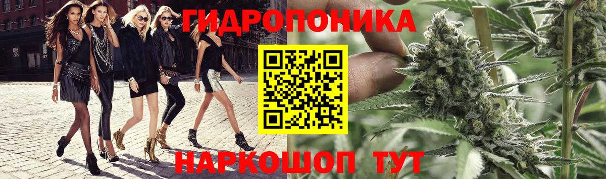 Марихуана конопля  МАРИХУАНА гибрид  Бошки марихуана семена  Кимовск  Бошки Шишки конопля  Вход с VPN 